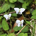 IMG_7757.JPG