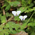 IMG_7759.JPG