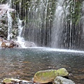 IMG_7764.JPG