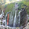 IMG_7765.JPG