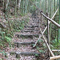 IMG_7769.JPG