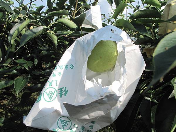 不喜歡ㄉ動物來襲