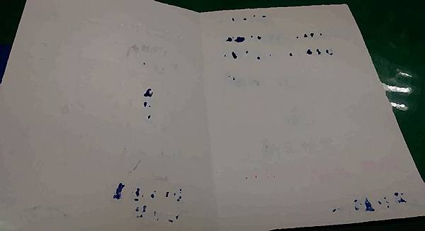 IMAG5176_cr0 IMAG5176_cr0