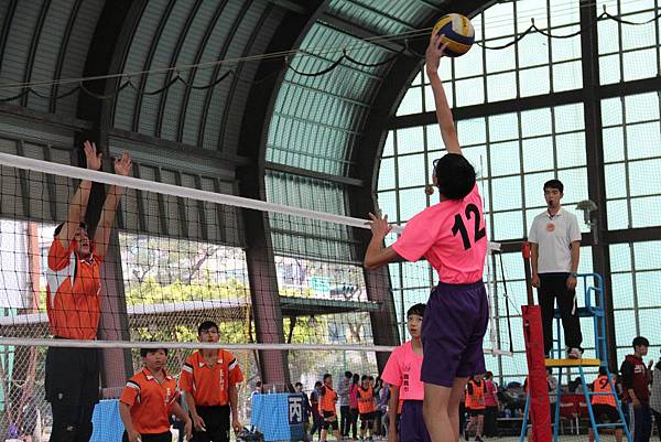 IMG_0246 IMG_0246