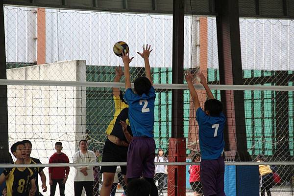 IMG_0271 IMG_0271