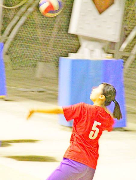IMG_6336_cr IMG_6336_cr