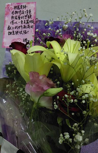 IMAG7730_cr IMAG7730_cr