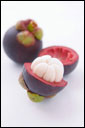 mangosteen3th.jpg