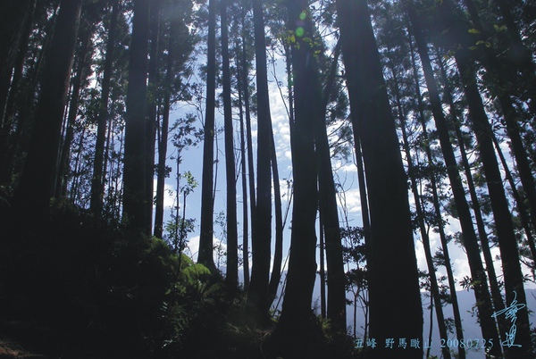 五峰 野馬瞰山.jpg