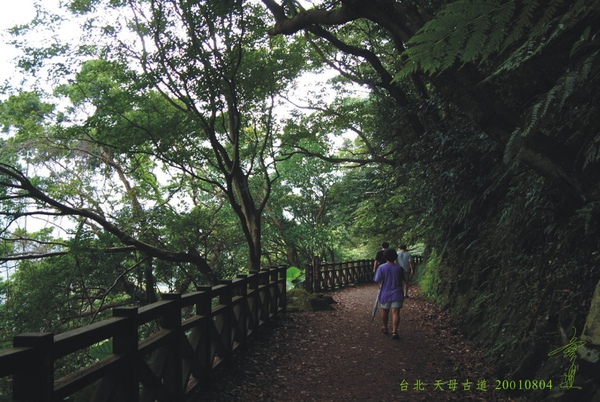 台北 天母古道 2.jpg