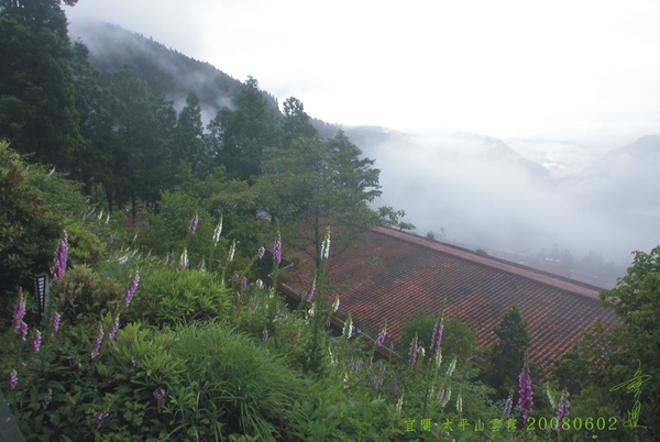 宜蘭 太平山雲霧.jpg