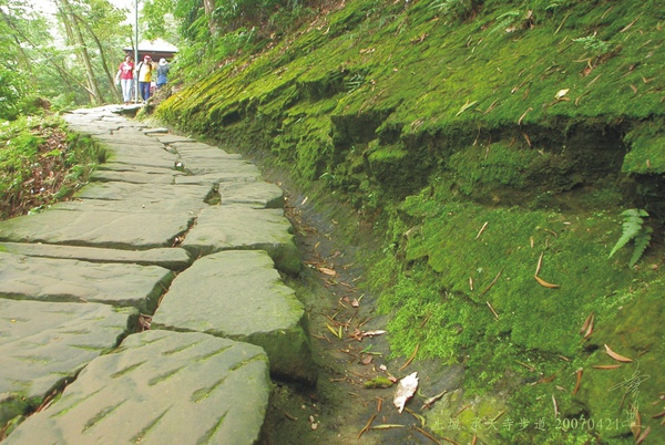 土城 承天寺步道.jpg