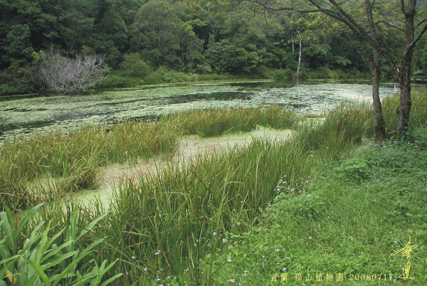 宜蘭 福山植物園1.jpg