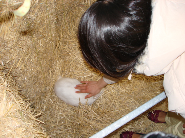DSC04914.JPG
