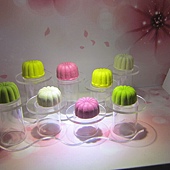 IMG_0101 IMG_0101