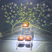 IMG_0106 IMG_0106