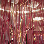 IMG_0118 IMG_0118