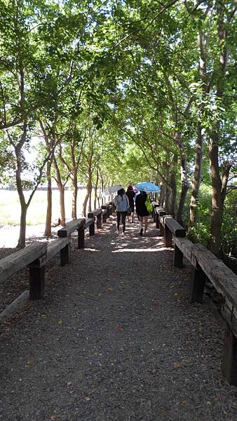 SAM_1509.JPG SAM_1509.JPG