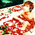 Gackt/308000774