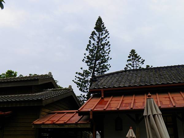 P5010106 (1024x768).jpg