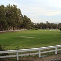 Large grass field