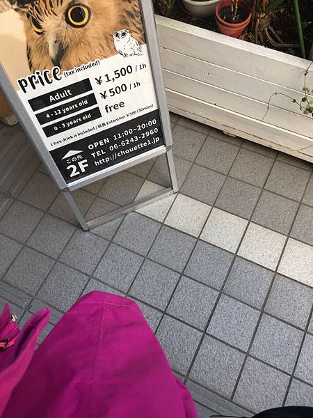 大阪**貓頭鷹咖啡廳*幸せのフクロウカフェChouette*