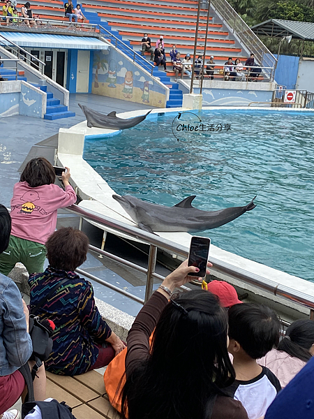 【新北親子旅遊】野柳海洋世界｜海獅 海豹  海豚