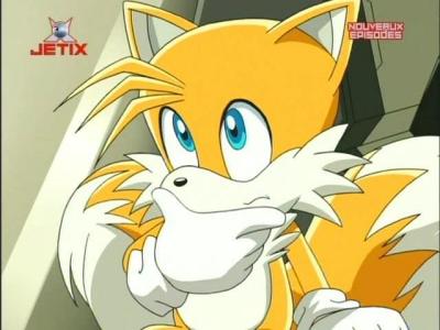 tails_pensando.JPG