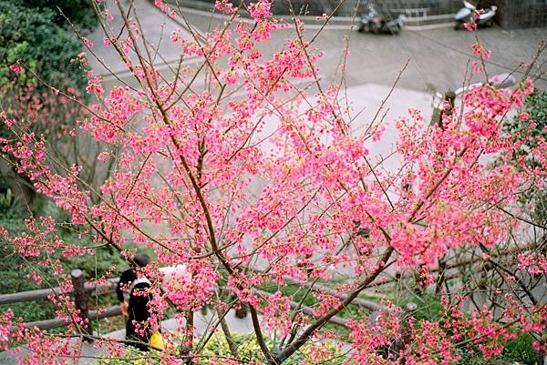 Negative0-26-24(1)