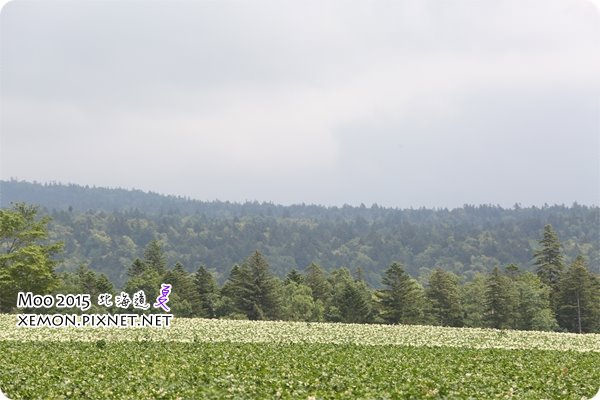 麓鄉展望台