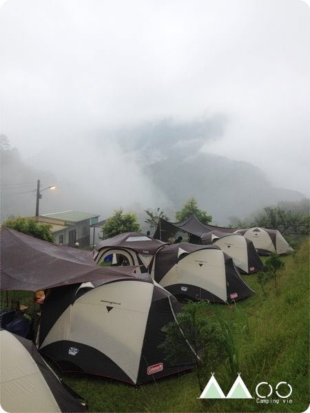 麥樹仁。氣候達人的足跡