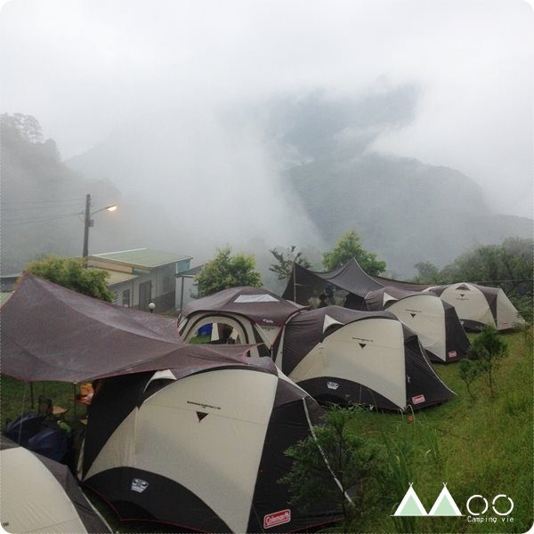 麥樹仁。氣候達人的足跡