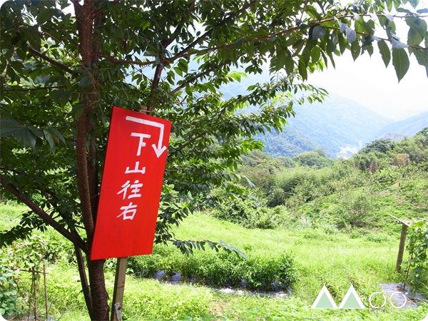 麥樹仁。氣候達人的足跡