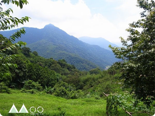 麥樹仁。氣候達人的足跡