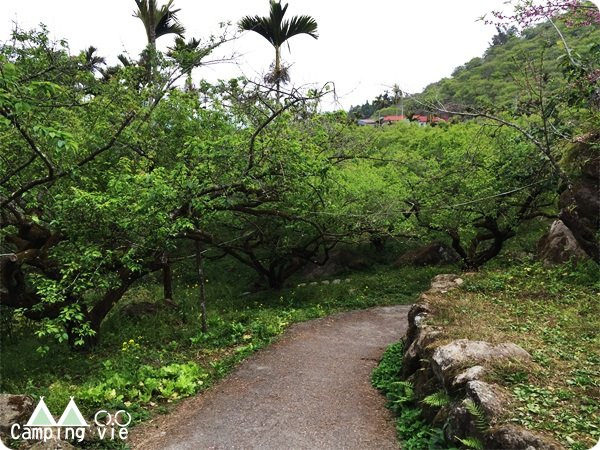 鳥松崙森林渡假營