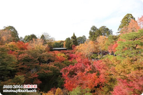 東福寺