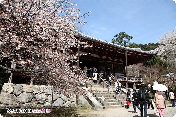 醍醐寺