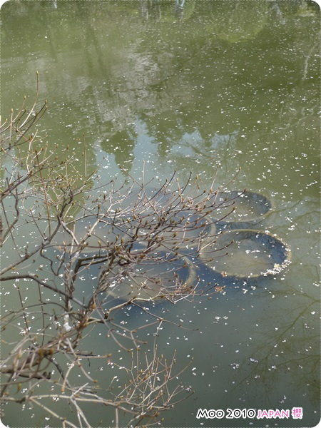 醍醐寺