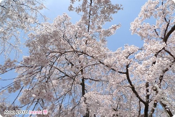 醍醐寺