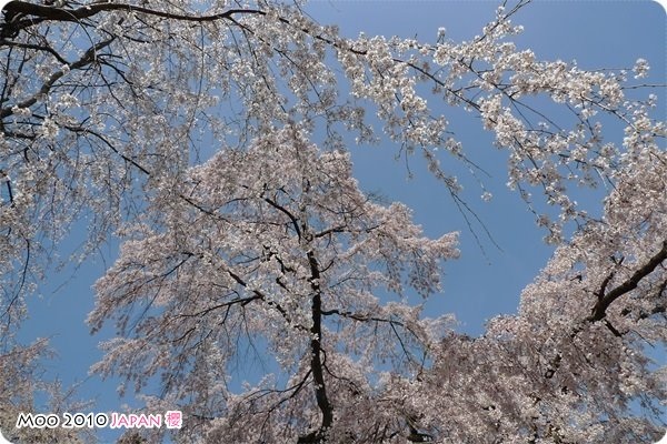 醍醐寺