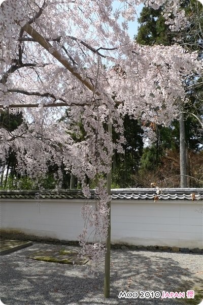 醍醐寺