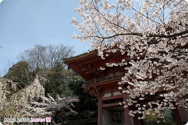 醍醐寺