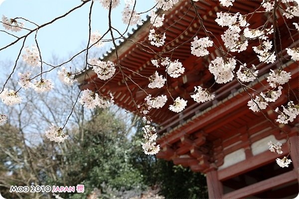 醍醐寺