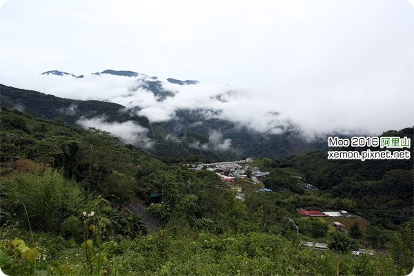 阿里山