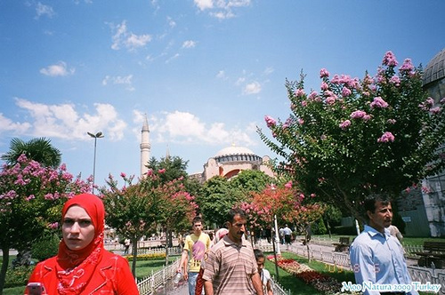 Natura 那秋。Turkey Istanbul-3