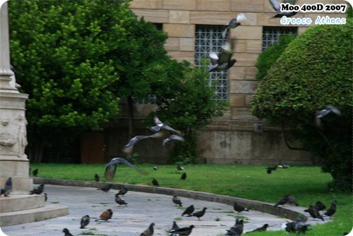 雅典學院 雅典大學 國立圖書館-1