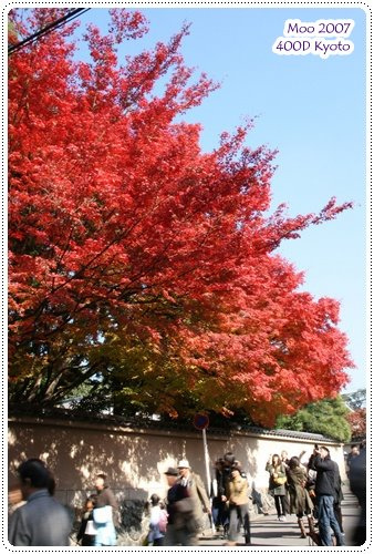 東福寺門外-12