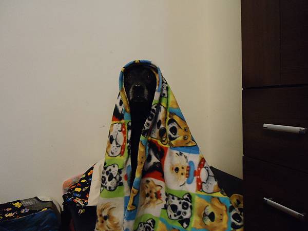 DSC05365.JPG