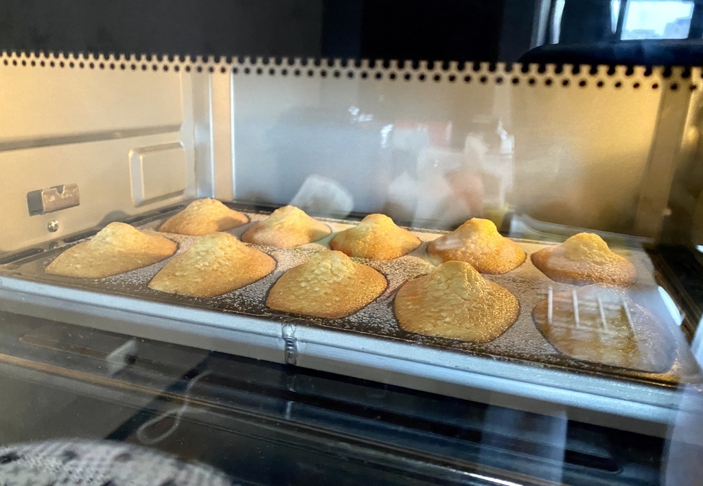 IMG_4732.HEIC IMG_4732.HEIC