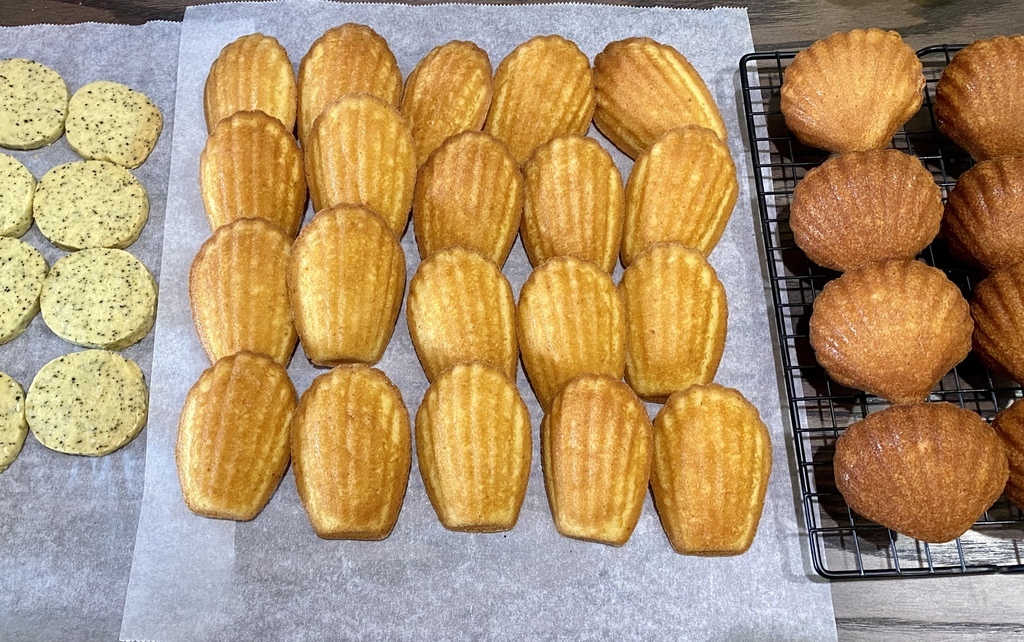 IMG_4735.HEIC IMG_4735.HEIC